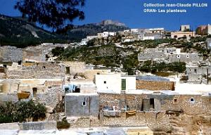 ORAN DOUAR-DES-PLANTEURS